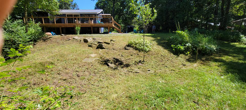 20220722_114904.jpg