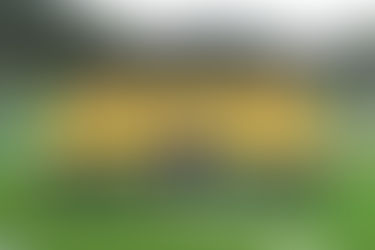 Qantas Wallabies squad ahead for the 2018 Spring Tour