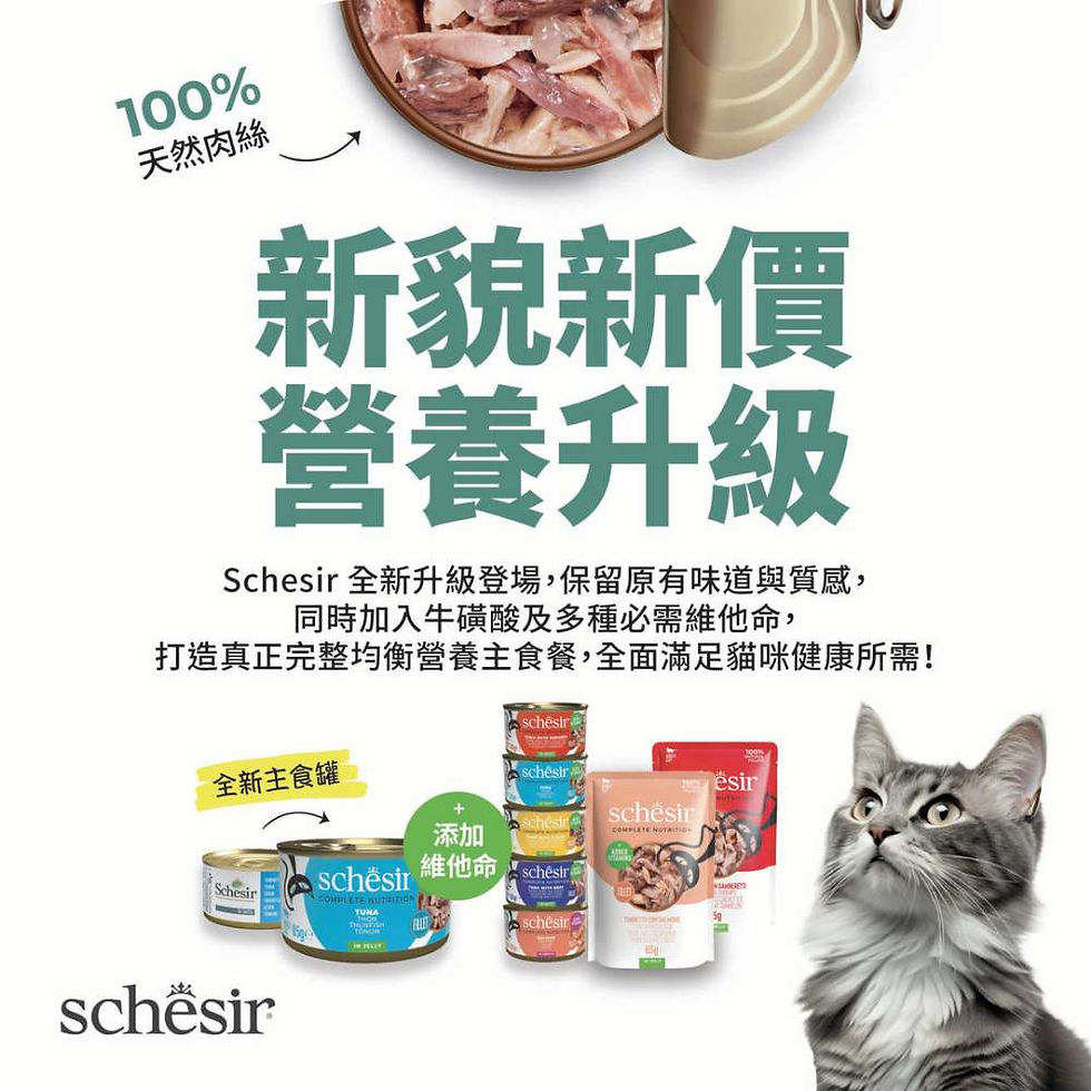 Schesir 貓罐