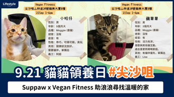 「9.21 貓貓領養日」尖沙咀Suppaw x Vegan Fitness 助浪浪尋找溫暖的家