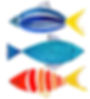 A FISHY START TO APRIL