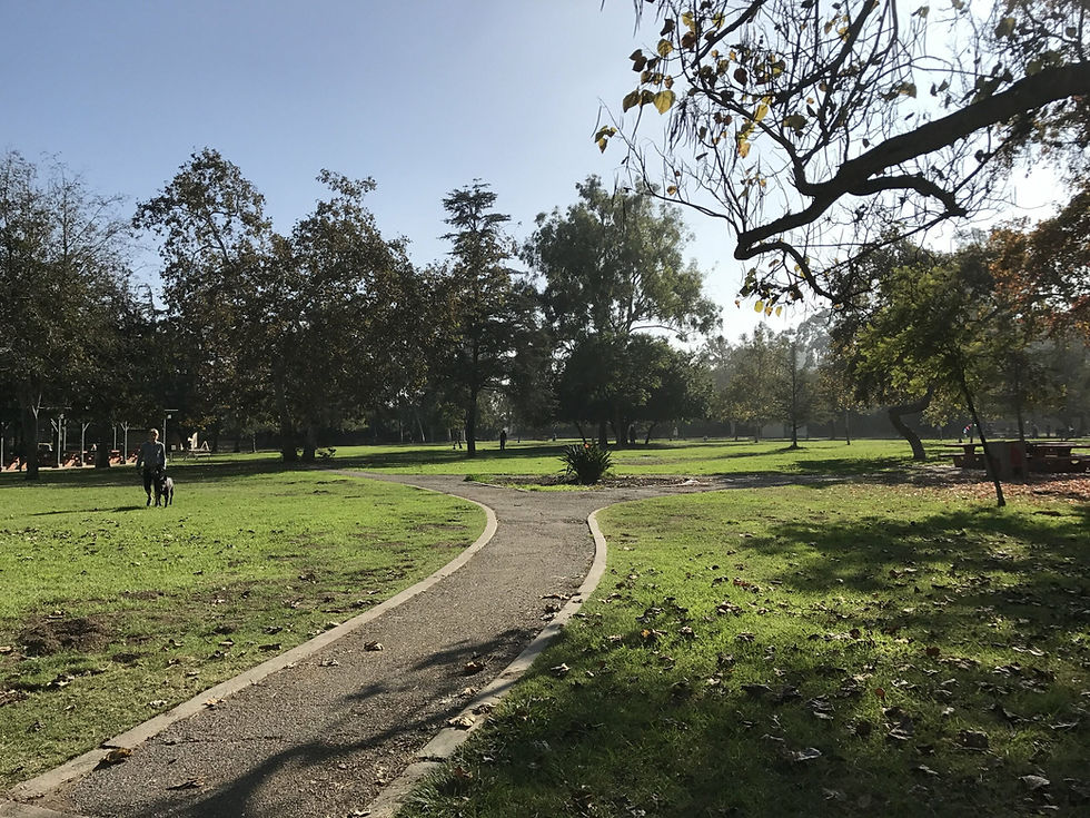 DO Hikes, Hike to Heal #5
