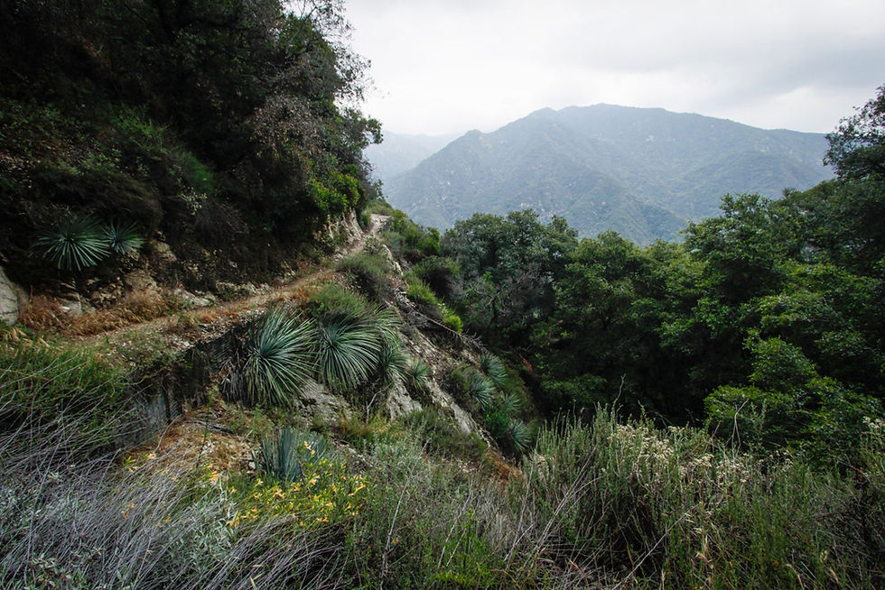 DO Hikes, Hike to Heal #4