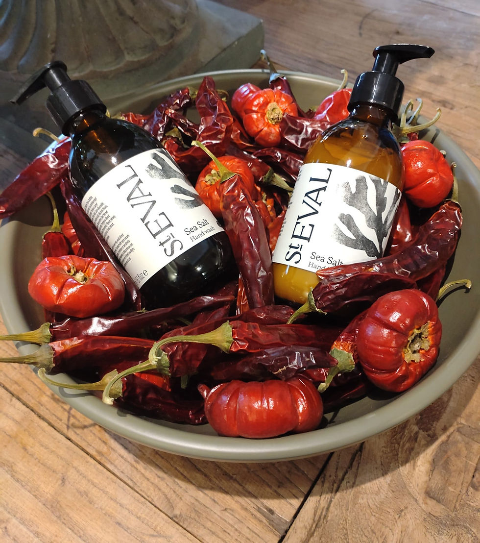 Thumbnail: St Eval hand lotion 