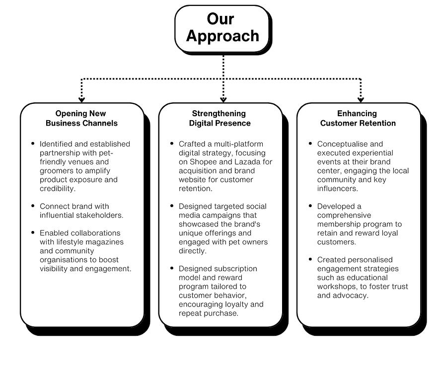 Pet Grooming Product Marketing