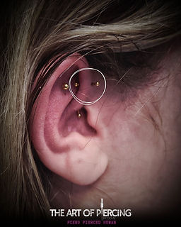 Forward Helix.jpg