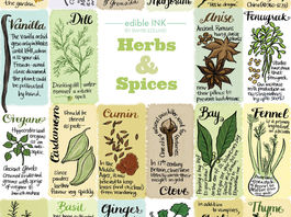 Herbs and Spices