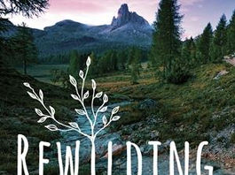 Rewilding