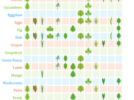 Herb and Food Pairing Guide