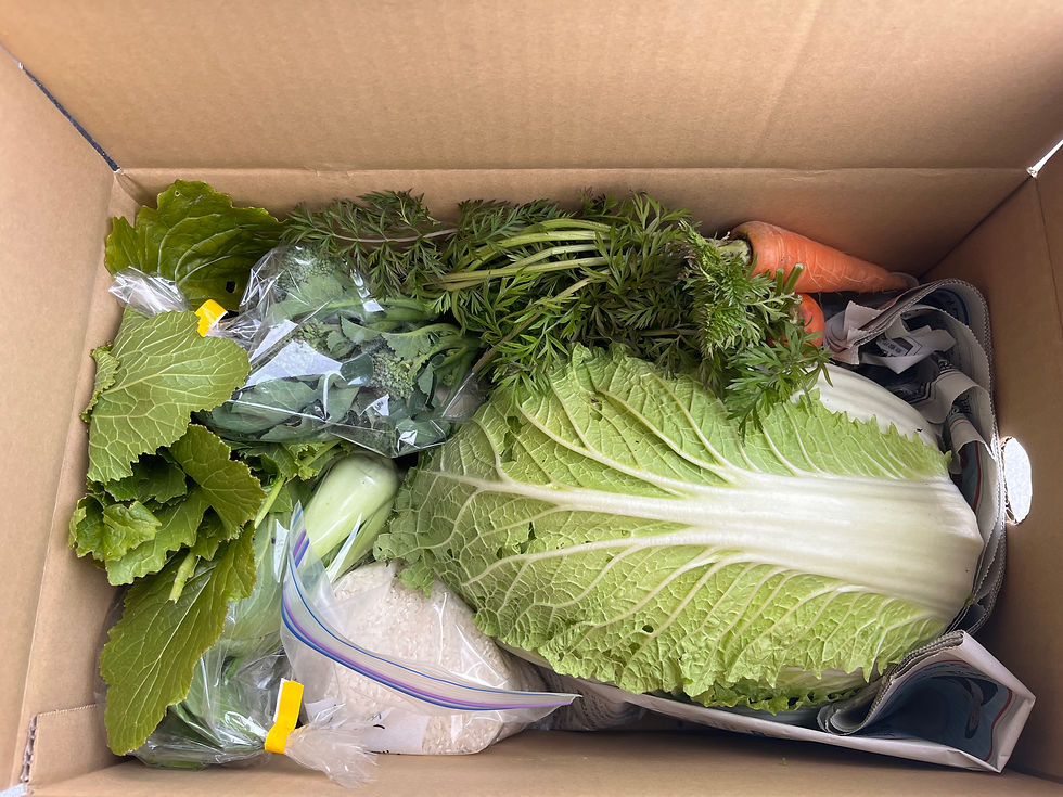 サムネイル： 【 白菜＋２種類のお野菜セット】じゅんじゅん（送料込み）