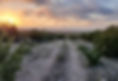 122323352_10119031661903864_4361480878586185635_n_edited.jpg