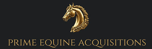 Copy of Copy of PEA Squidge trot up 1 image (640 x 360 px) copy 2.png