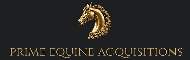 Copy of Copy of PEA Squidge trot up 1 image (640 x 360 px) copy 2.png