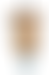 Have Carpenter Bees on Your House? Better Watch This!