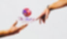 313793035_1089384251629377_4481119550126057140_n_edited.jpg