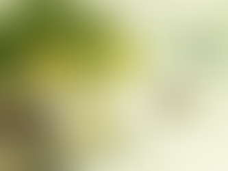 Как почитат мъртвите в Китай?