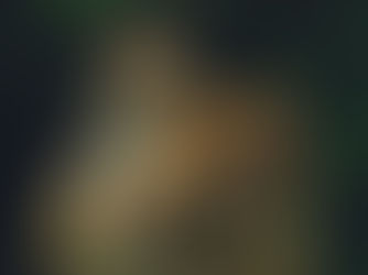 Тази година числото 4 ще е късметлийско, а Тигърът ще властва!