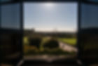 20241223-aColmeiaPortugal-036.jpg
