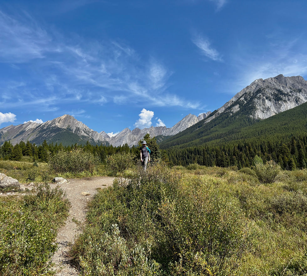 Person walking through a meadow with mountains in the background