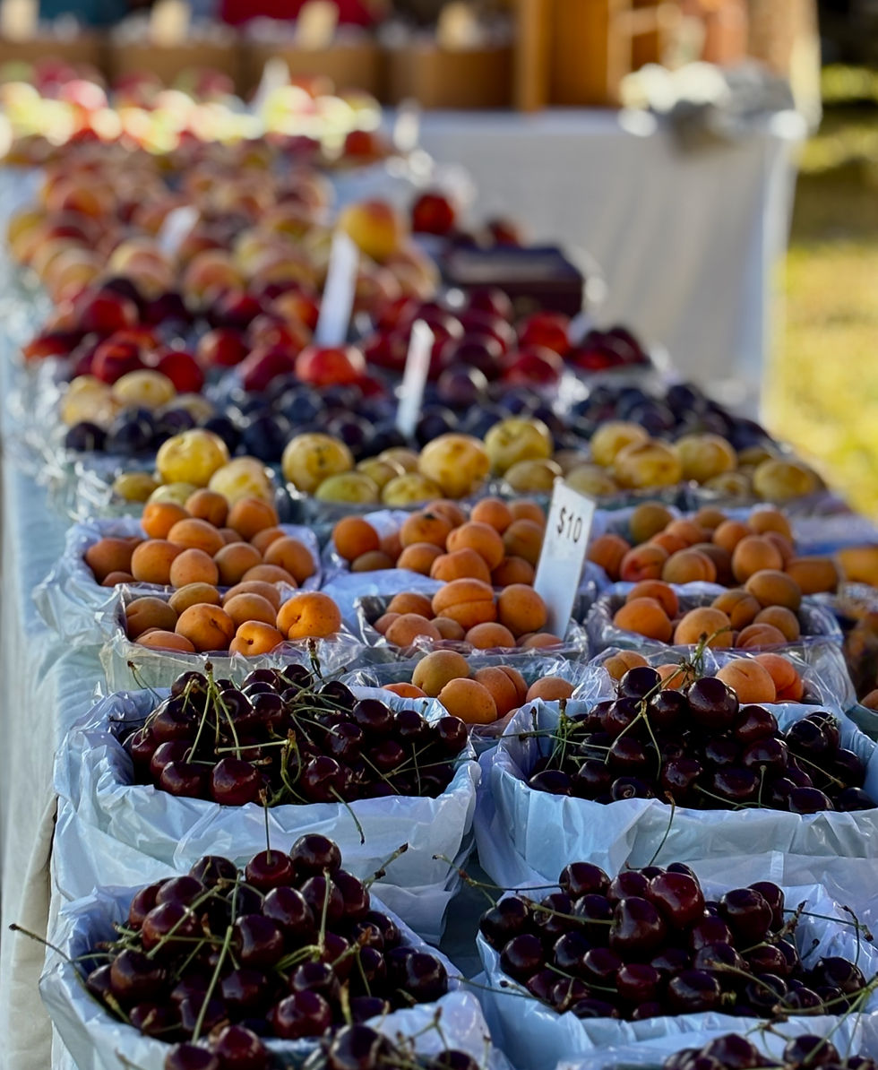 Cherries, apricots, plums, peaches at an outdoor market