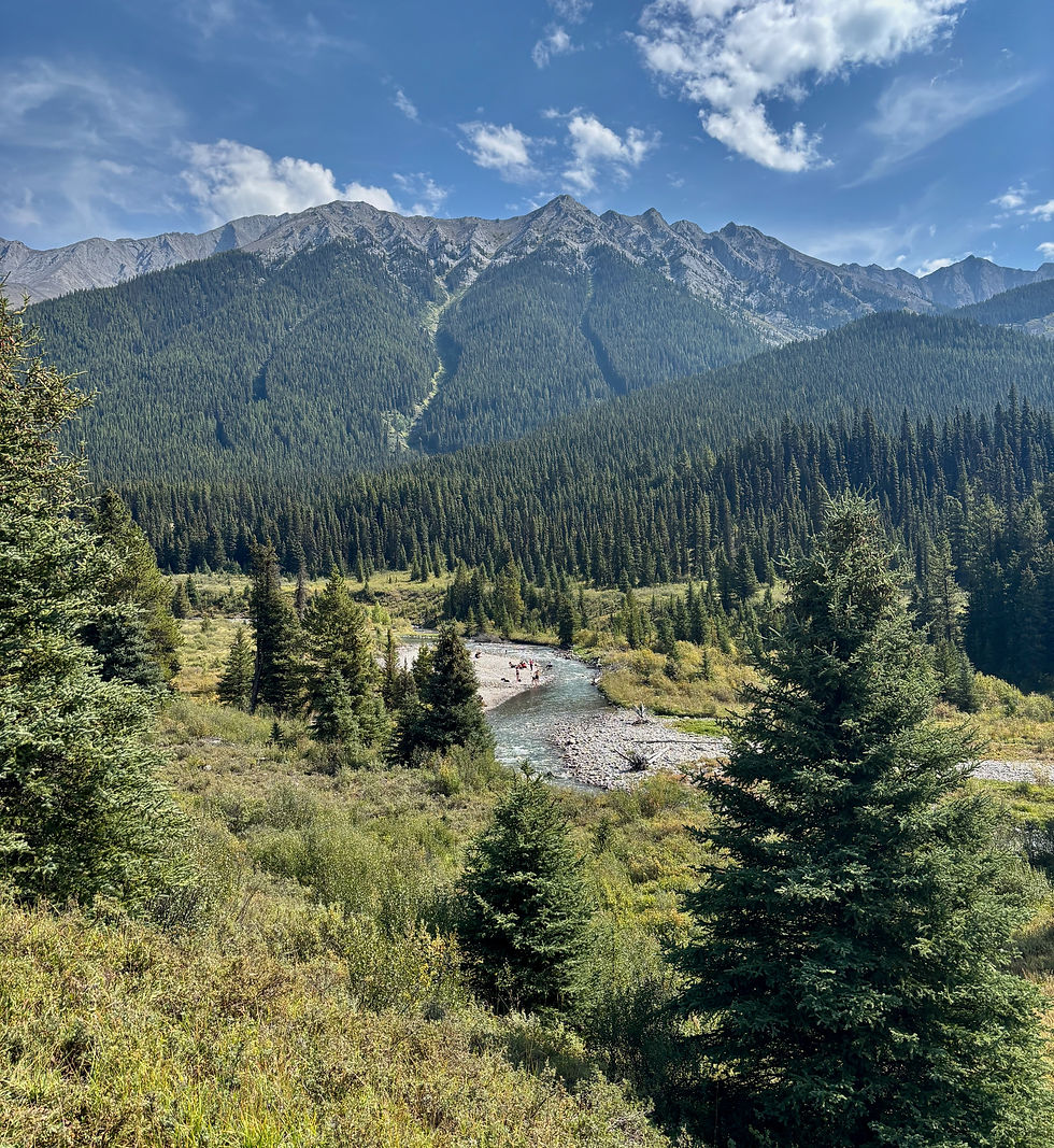 View of Johnston creek with people swimming and mountains in the background
