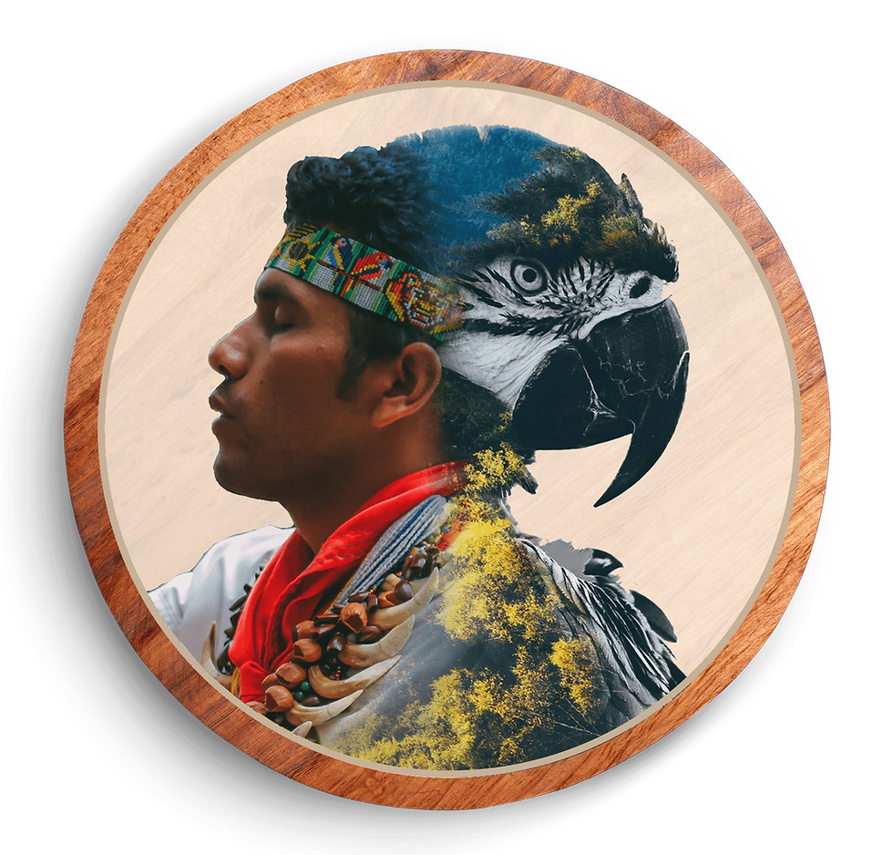 henrri guacamayo madera small.png