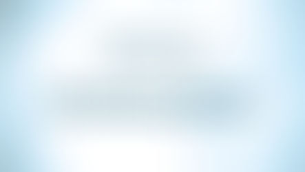 PBID Annual Report (2024)