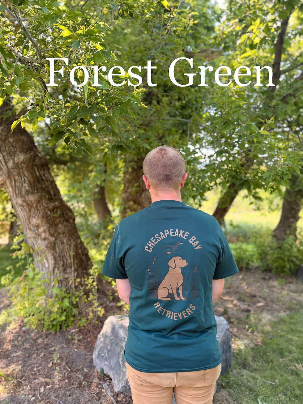 Thumbnail: HBR Pheasant Hunt (short sleeve)