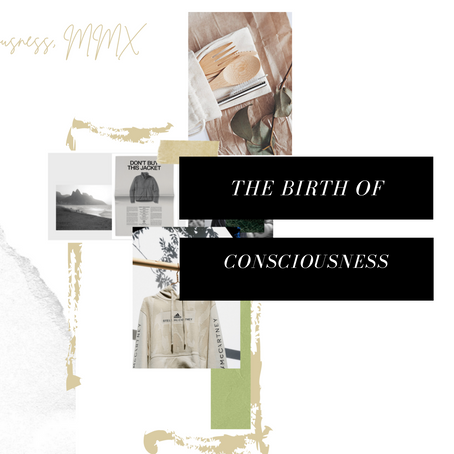 The Birth of Consciousness 