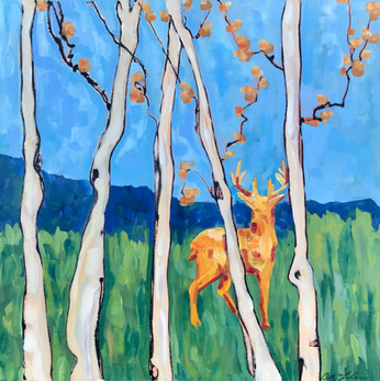 Elk in Summer Aspens