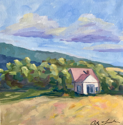 White House on Arapahoe in Summer