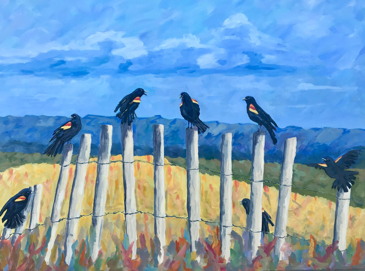 Bye Bye Blackbirds