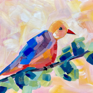 Spring Bird