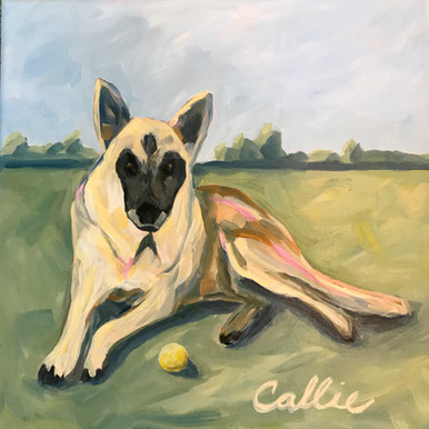 Callie