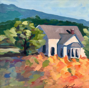 White House on Arapahoe in Fall