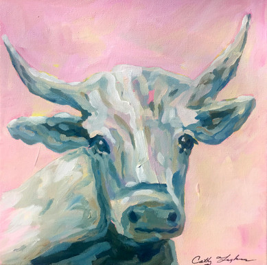 Sweet Cow