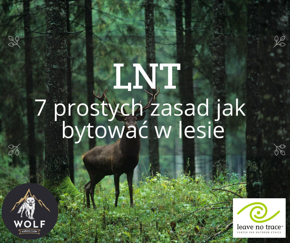 Leave No Trace - czyli 7 prostych zasad, jak bytować w lesie.
