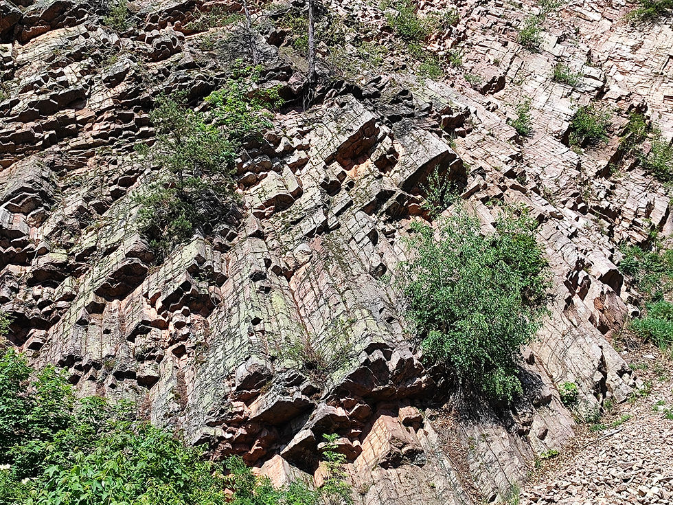 Organy Wielisławskie.