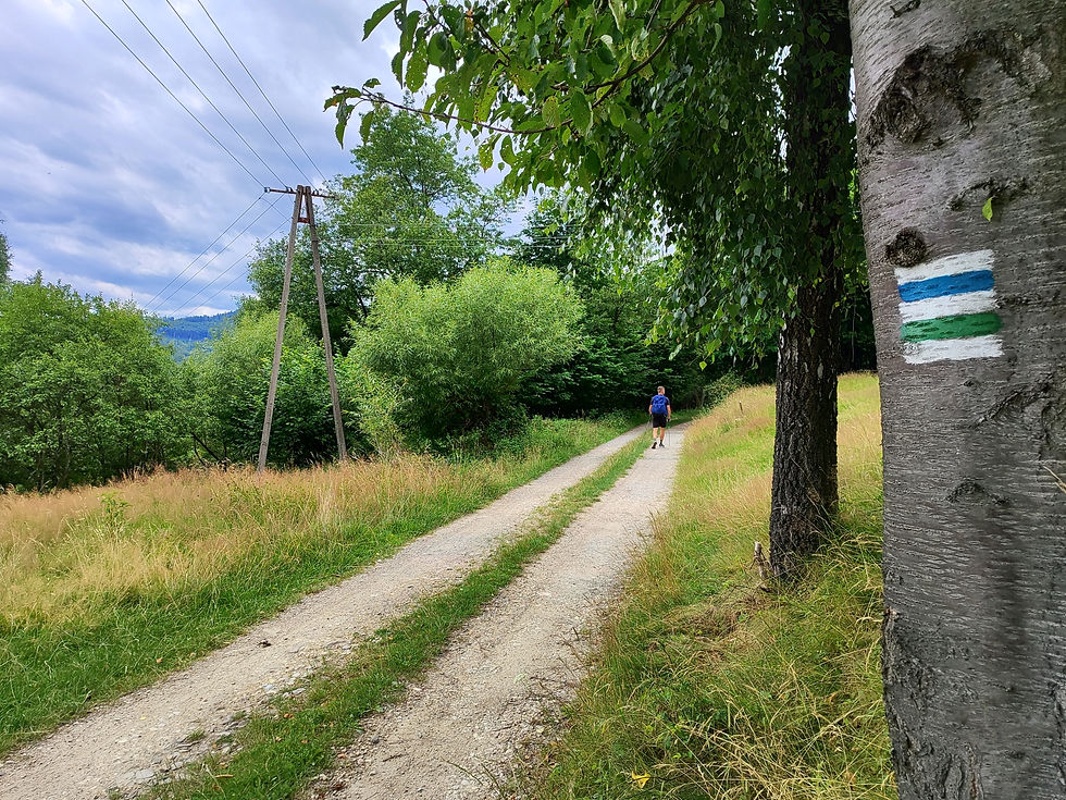 Włączyliśmy się w szlak niebieski.