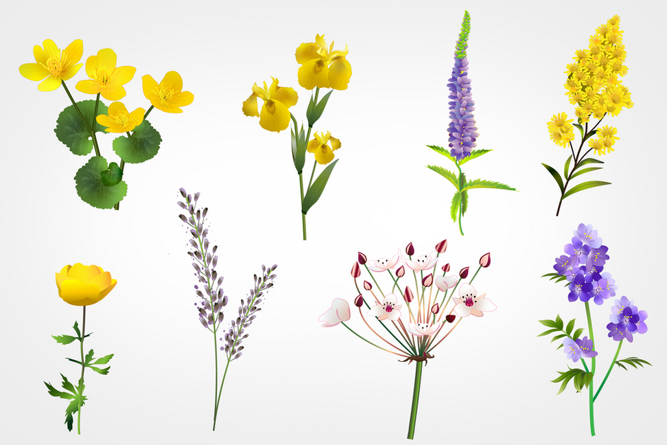 vectorflowers2.png
