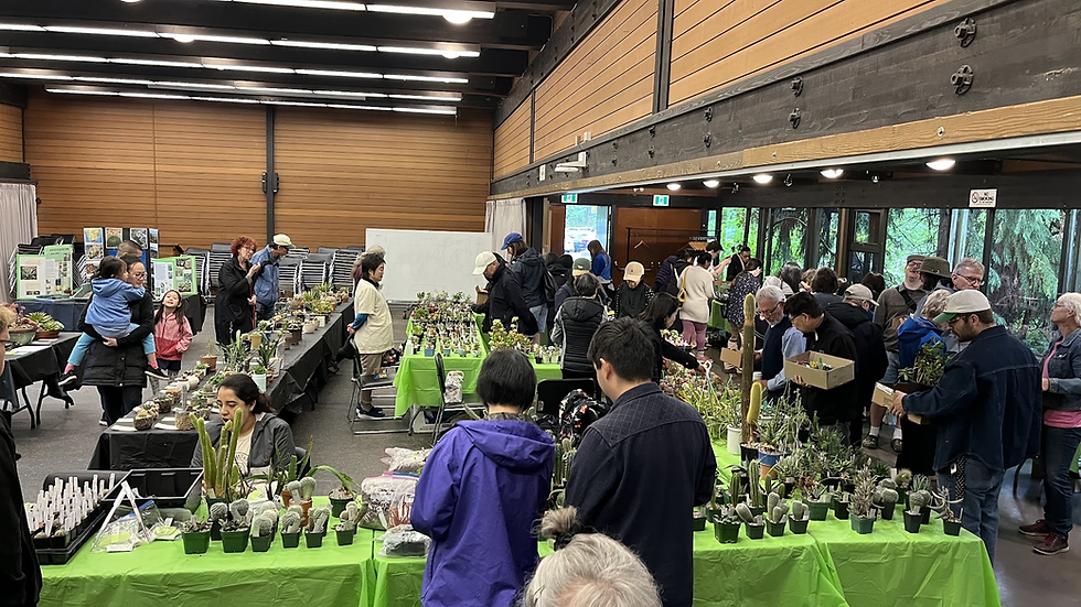 Show n’ Sale 2025!!