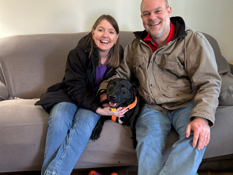 Buddy's Home for Christmas Story