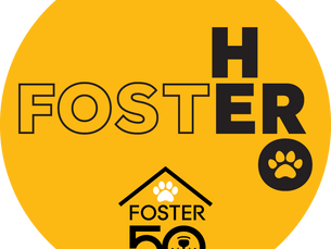 PEDIGREE Foundation's Foster 50 Challenge!