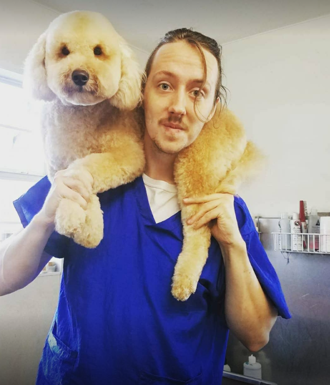 Parke and Rocco