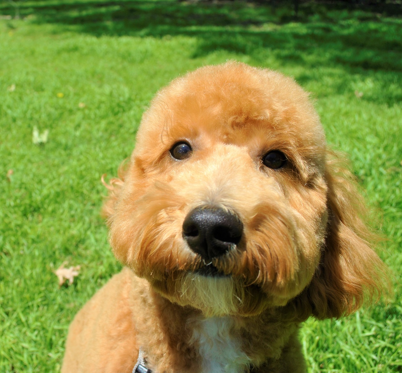 Murphy After