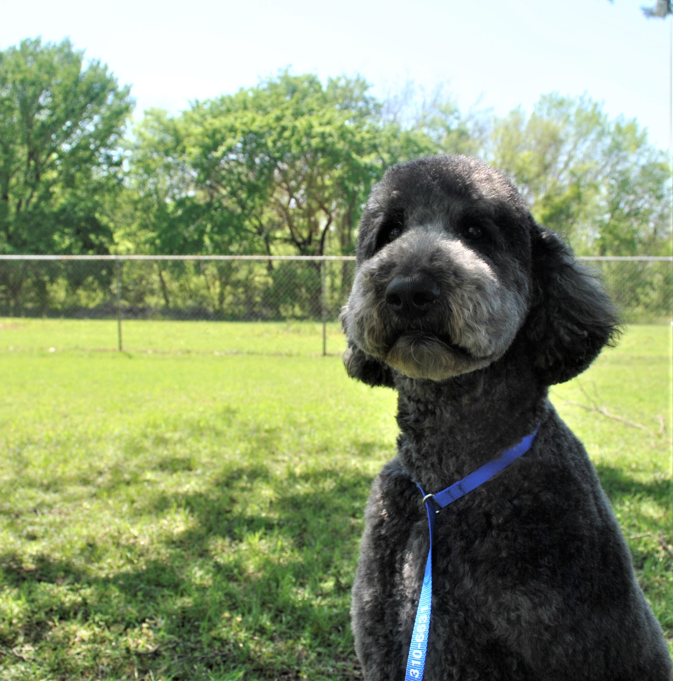 Barkley