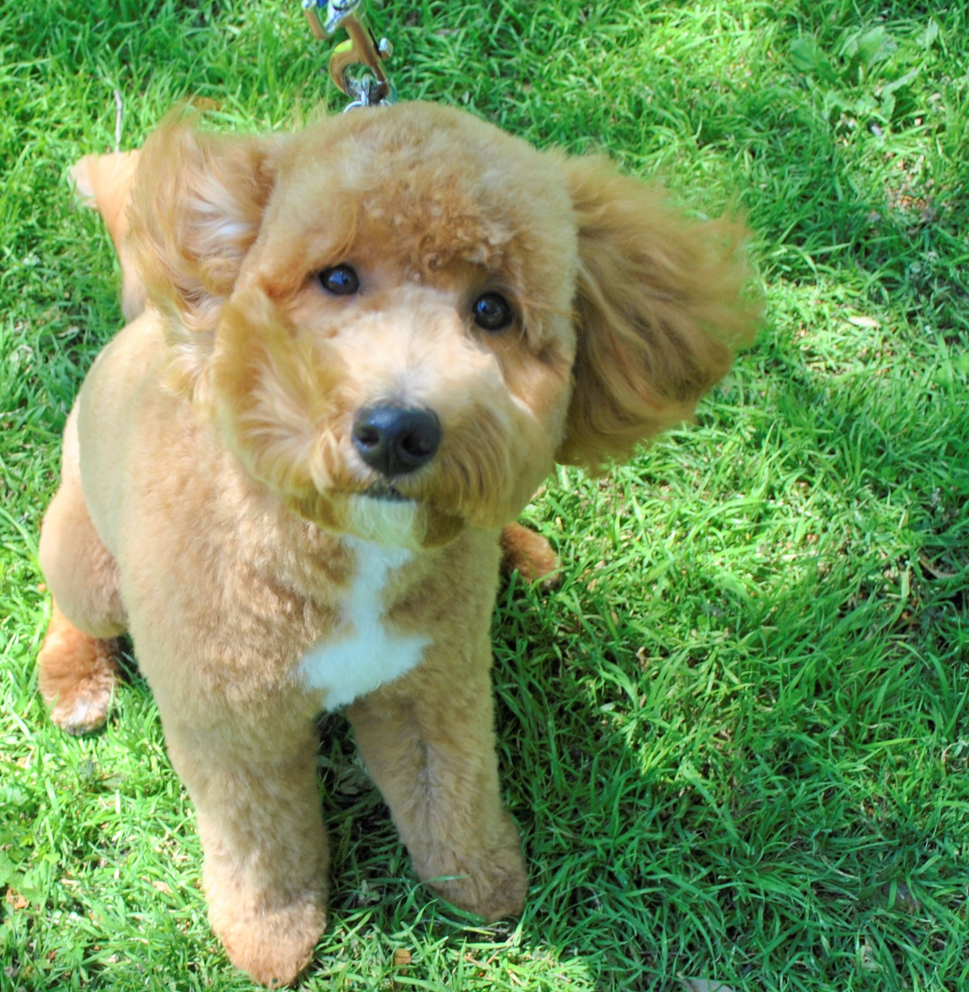 Murphy