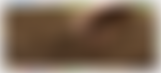 Komposisi dan Perkembangan Tanah