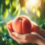 Georgia Peach Body Butter