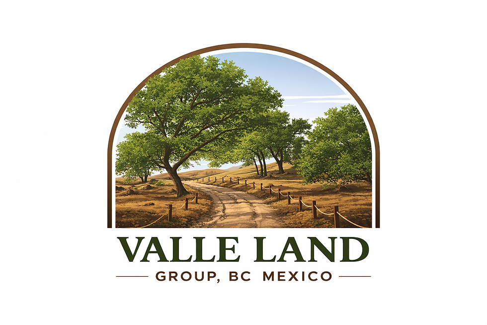 Valle Land Group logo featuring Baja land for sale Valle de Guadalupe.